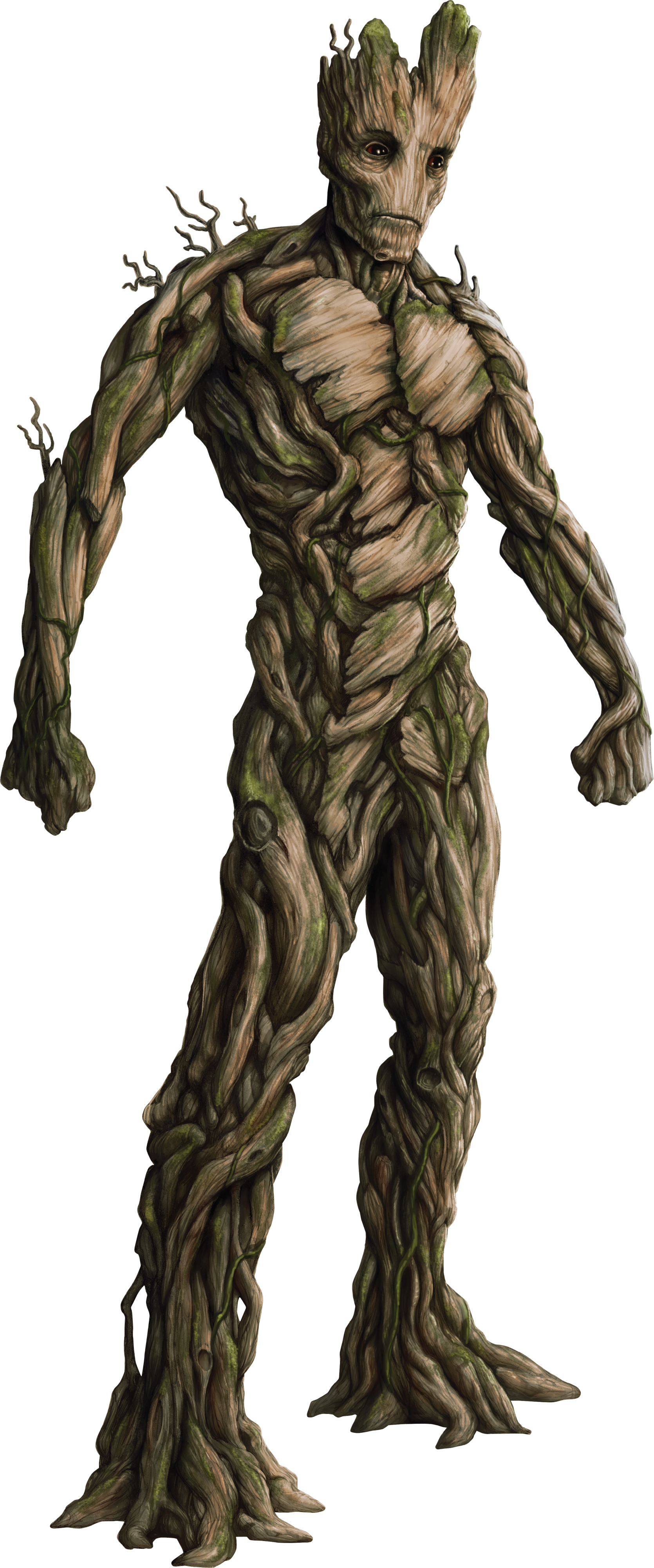 Detail Groot Transparent Nomer 27