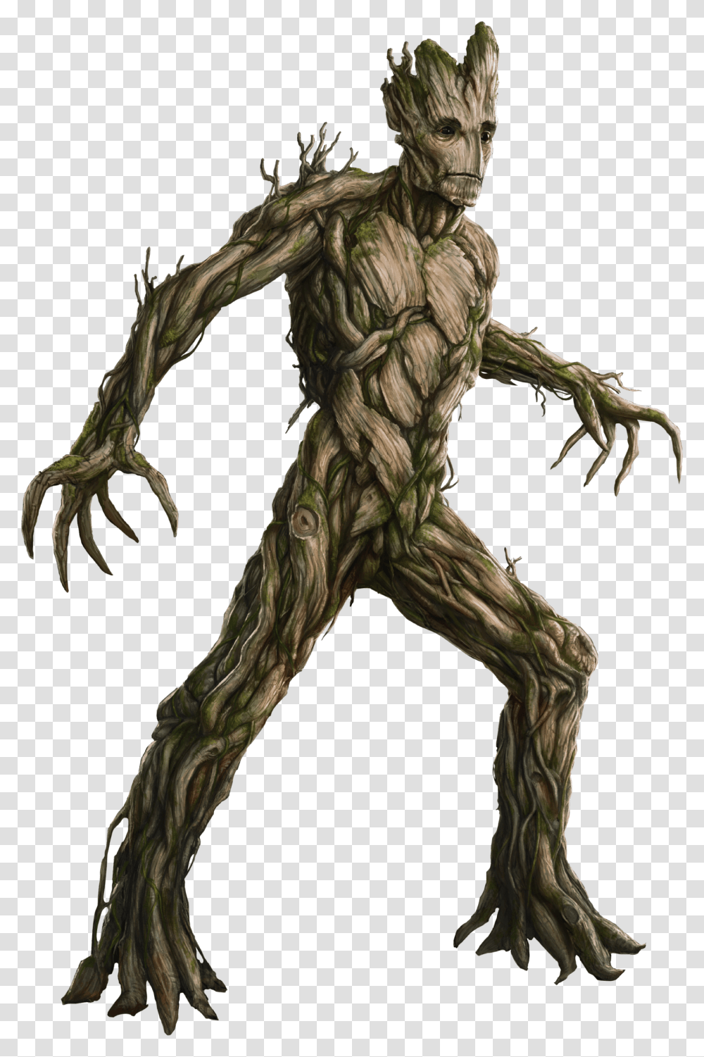 Detail Groot Transparent Nomer 37
