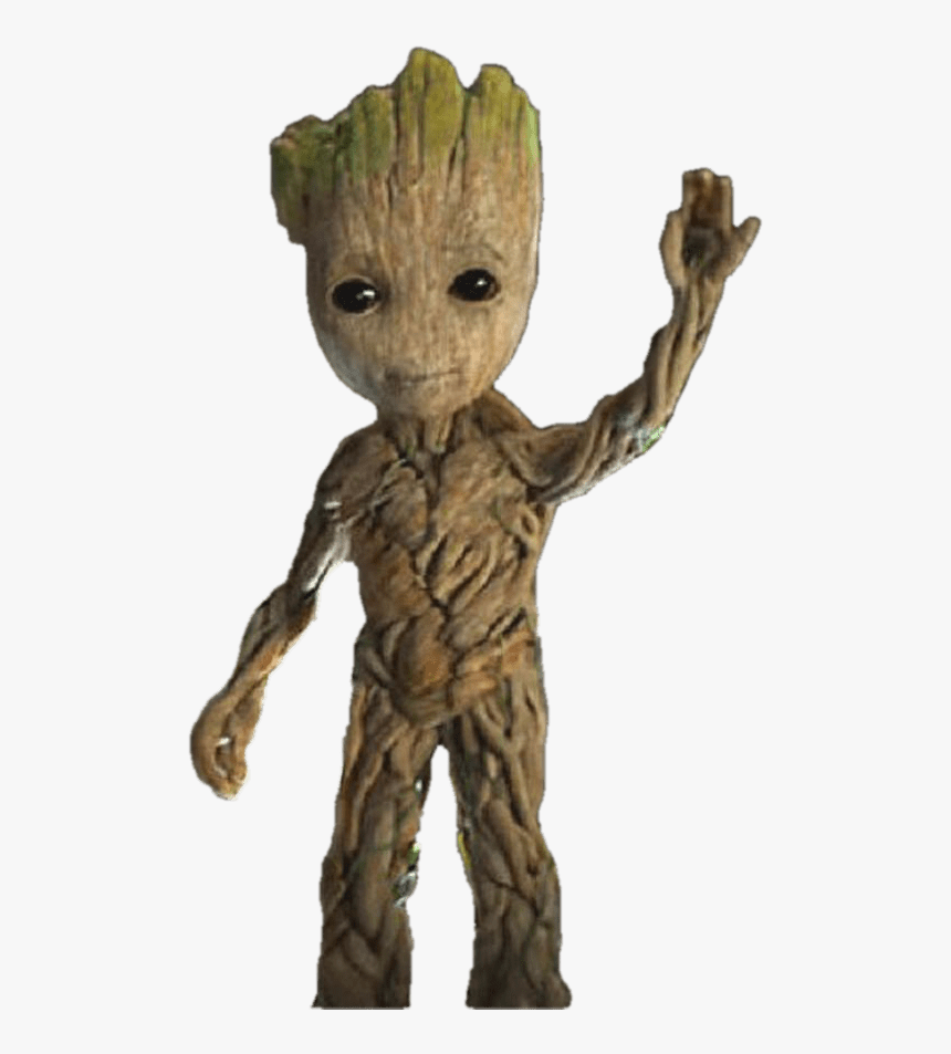 Detail Groot Transparent Nomer 6