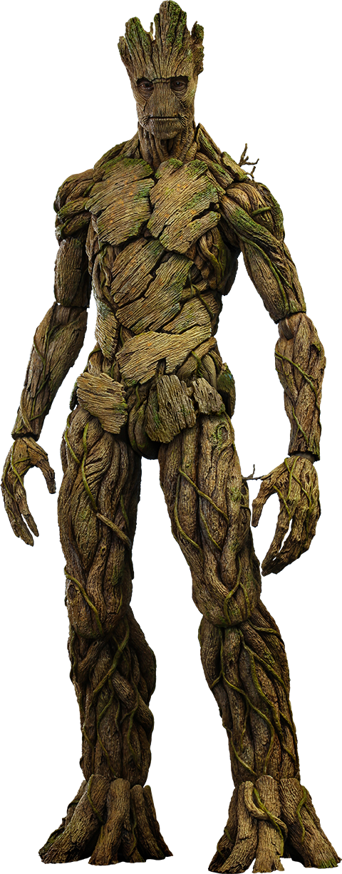 Detail Groot Transparent Nomer 10