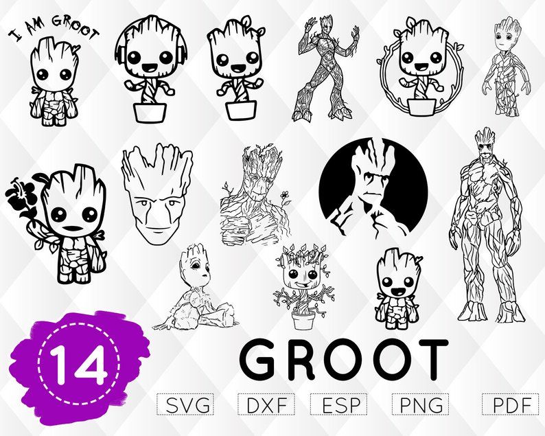 Detail Groot Vector Nomer 7