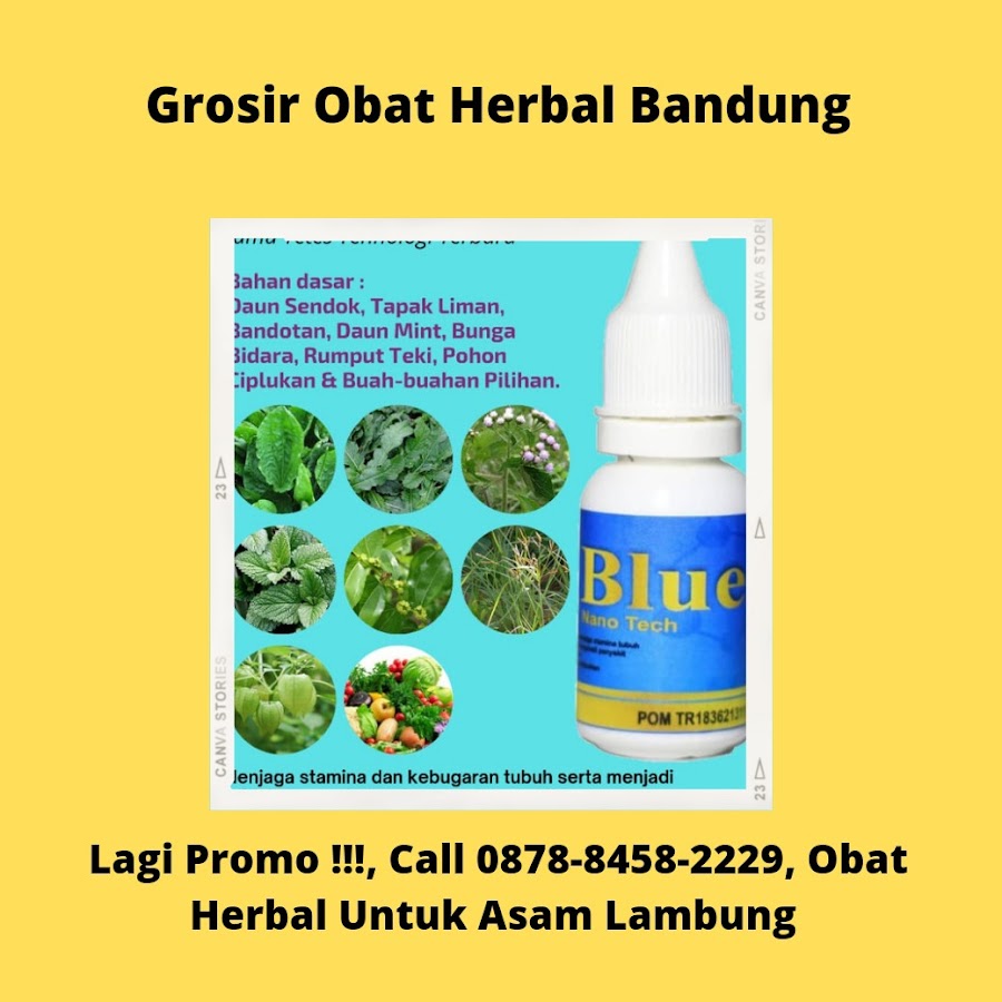 Detail Grosir Obat Herbal Nomer 13