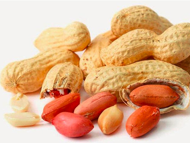 Groundnuts Images - KibrisPDR