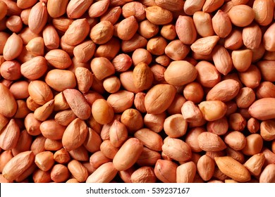 Detail Groundnuts Images Nomer 2