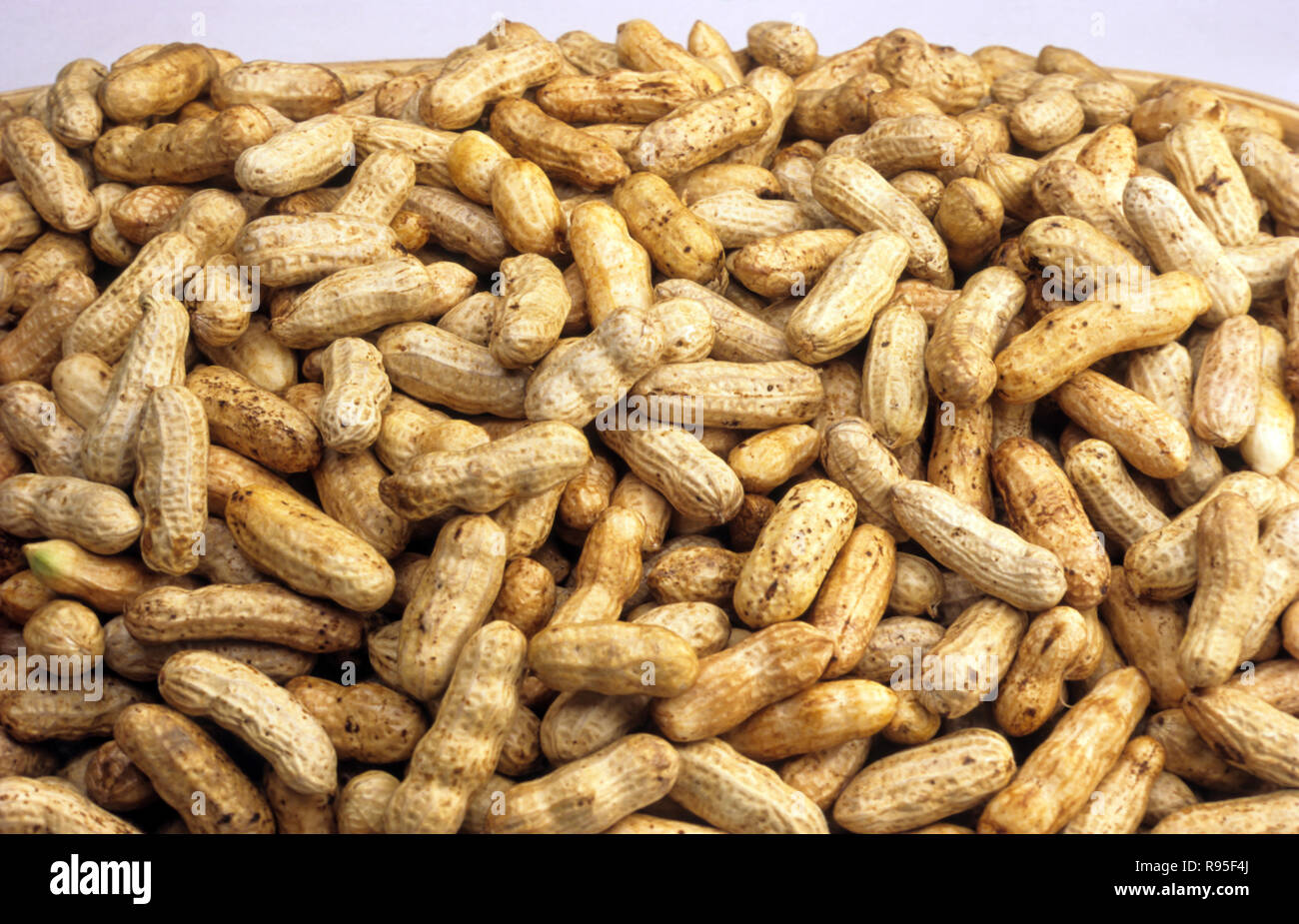 Detail Groundnuts Images Nomer 48