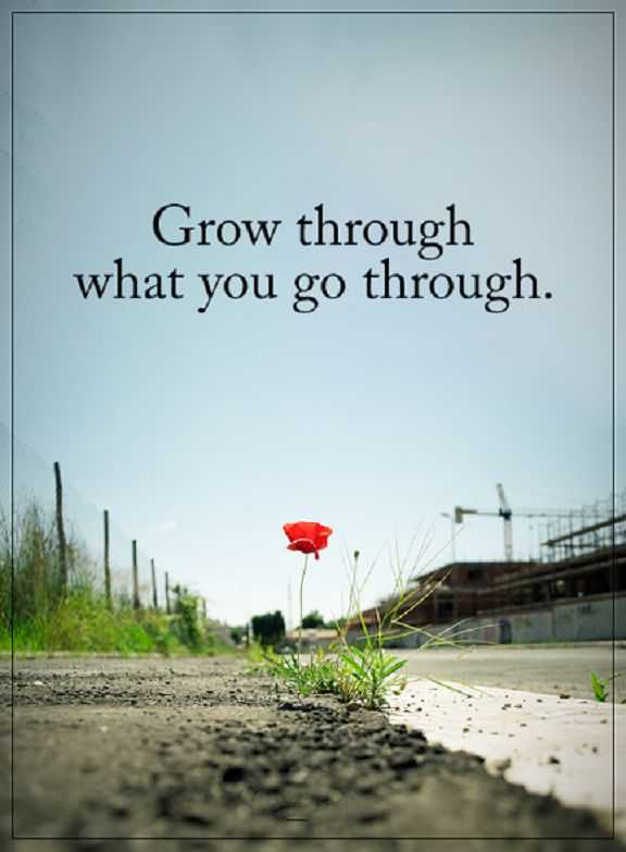 Detail Grow Through What You Go Through Quotes Nomer 21