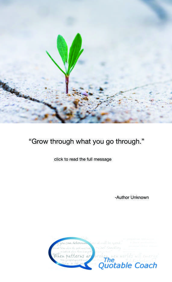 Detail Grow Through What You Go Through Quotes Nomer 27