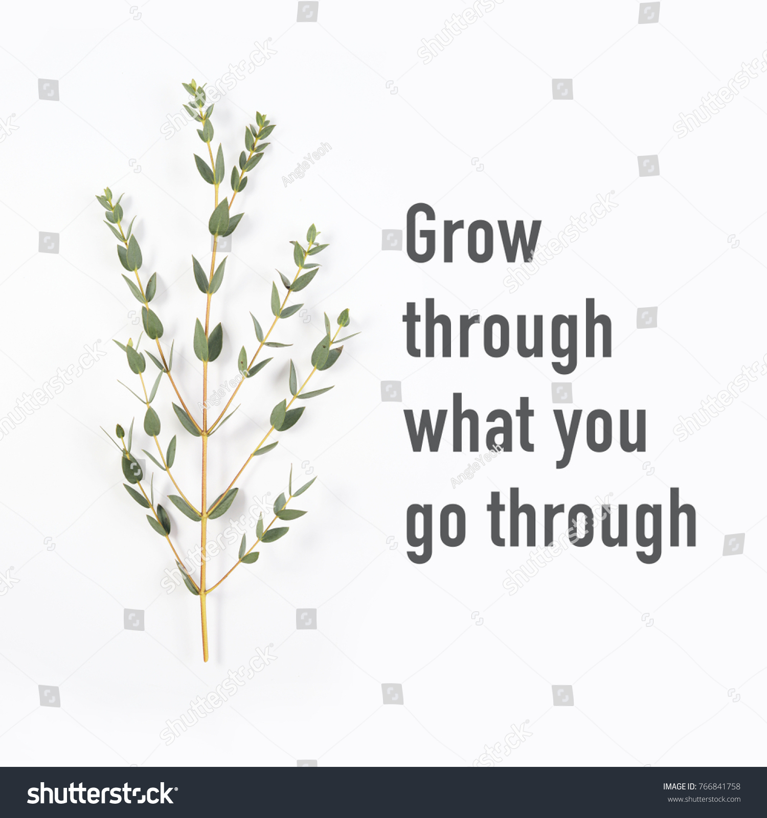 Detail Grow Through What You Go Through Quotes Nomer 31