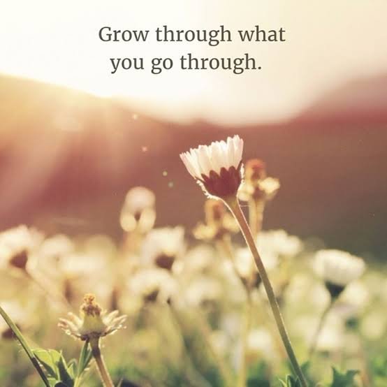 Detail Grow Through What You Go Through Quotes Nomer 41