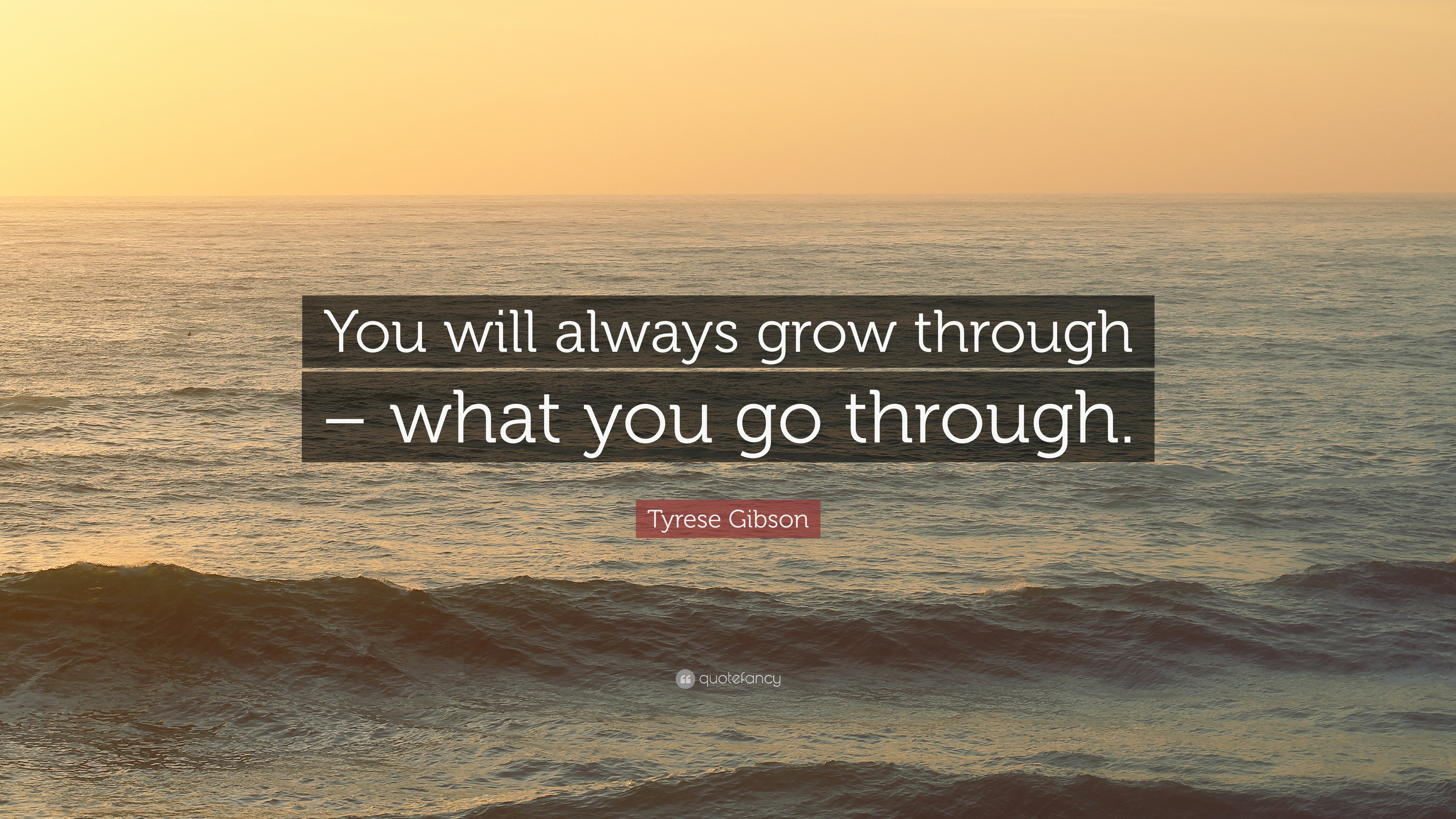 Detail Grow Through What You Go Through Quotes Nomer 42