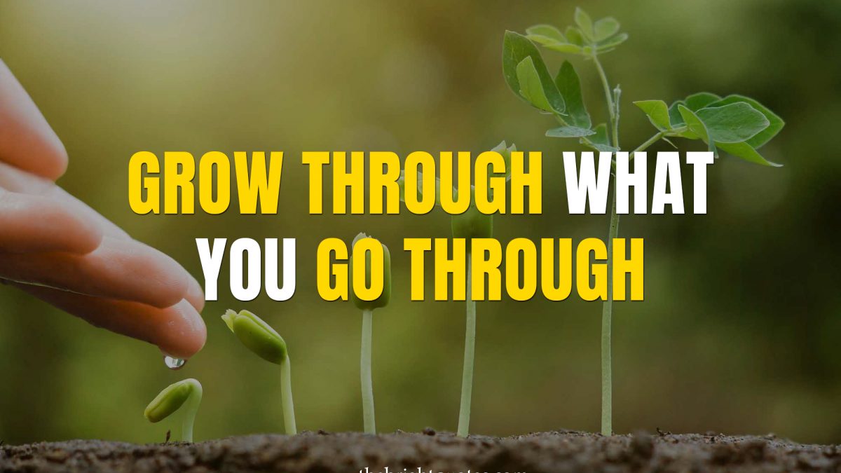 Detail Grow Through What You Go Through Quotes Nomer 48