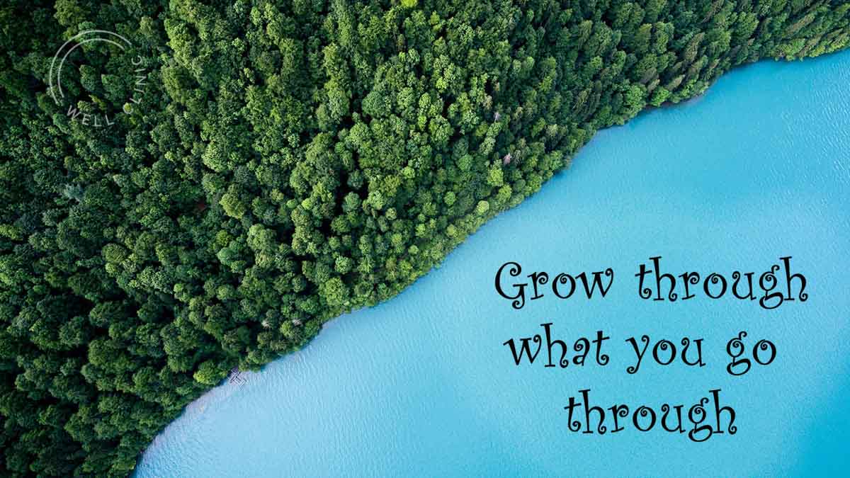 Detail Grow Through What You Go Through Quotes Nomer 53