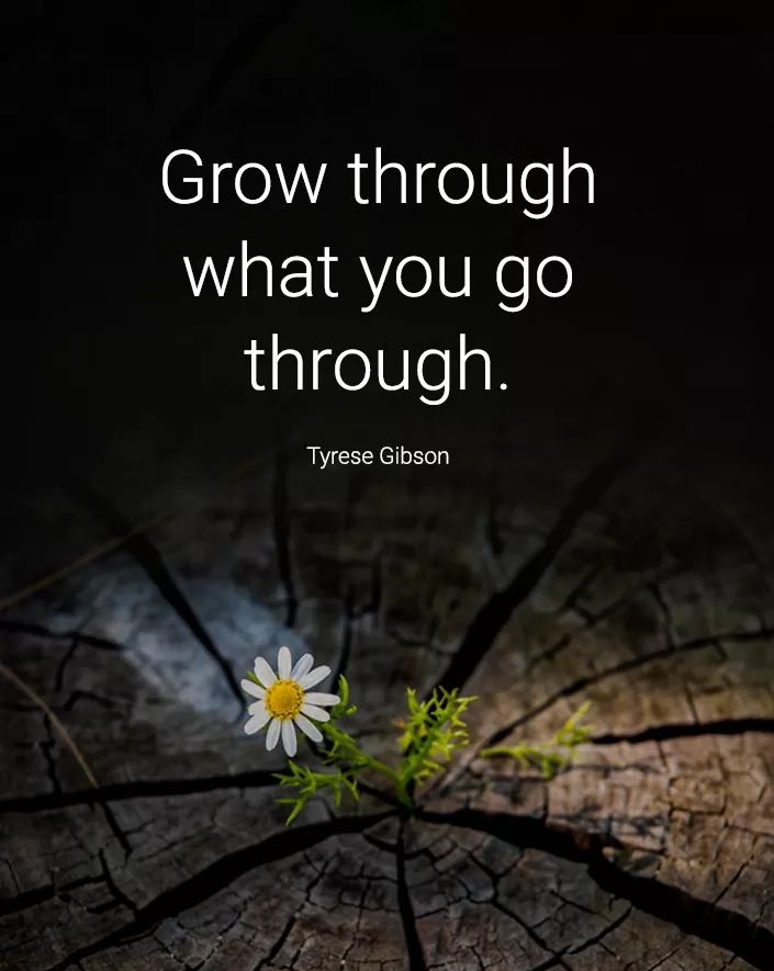 Detail Grow Through What You Go Through Quotes Nomer 10