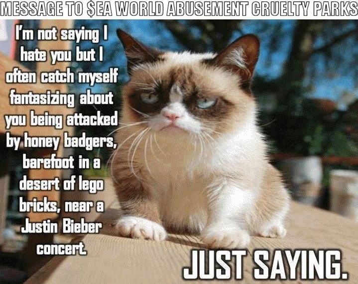 Detail Grumpy Cat Quotes Nomer 5