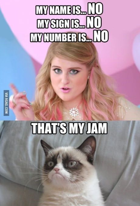 Detail Grumpy Cat Quotes Nomer 50