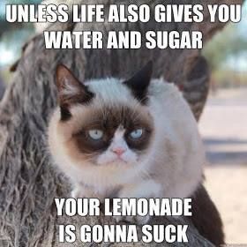 Detail Grumpy Cat Quotes Nomer 7