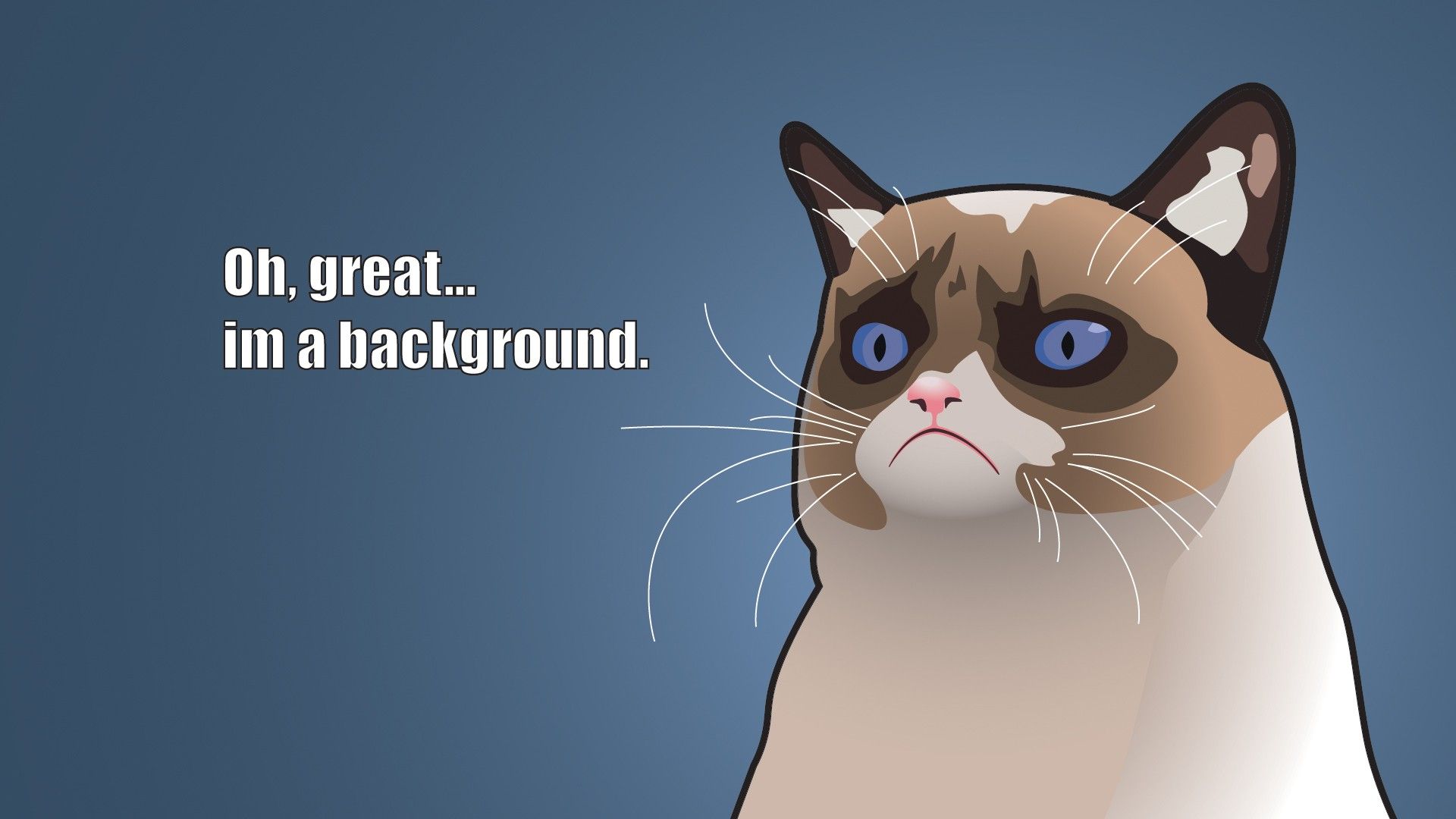 Detail Grumpy Cat Wallpaper Nomer 2