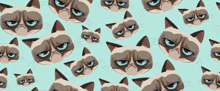 Detail Grumpy Cat Wallpaper Nomer 32