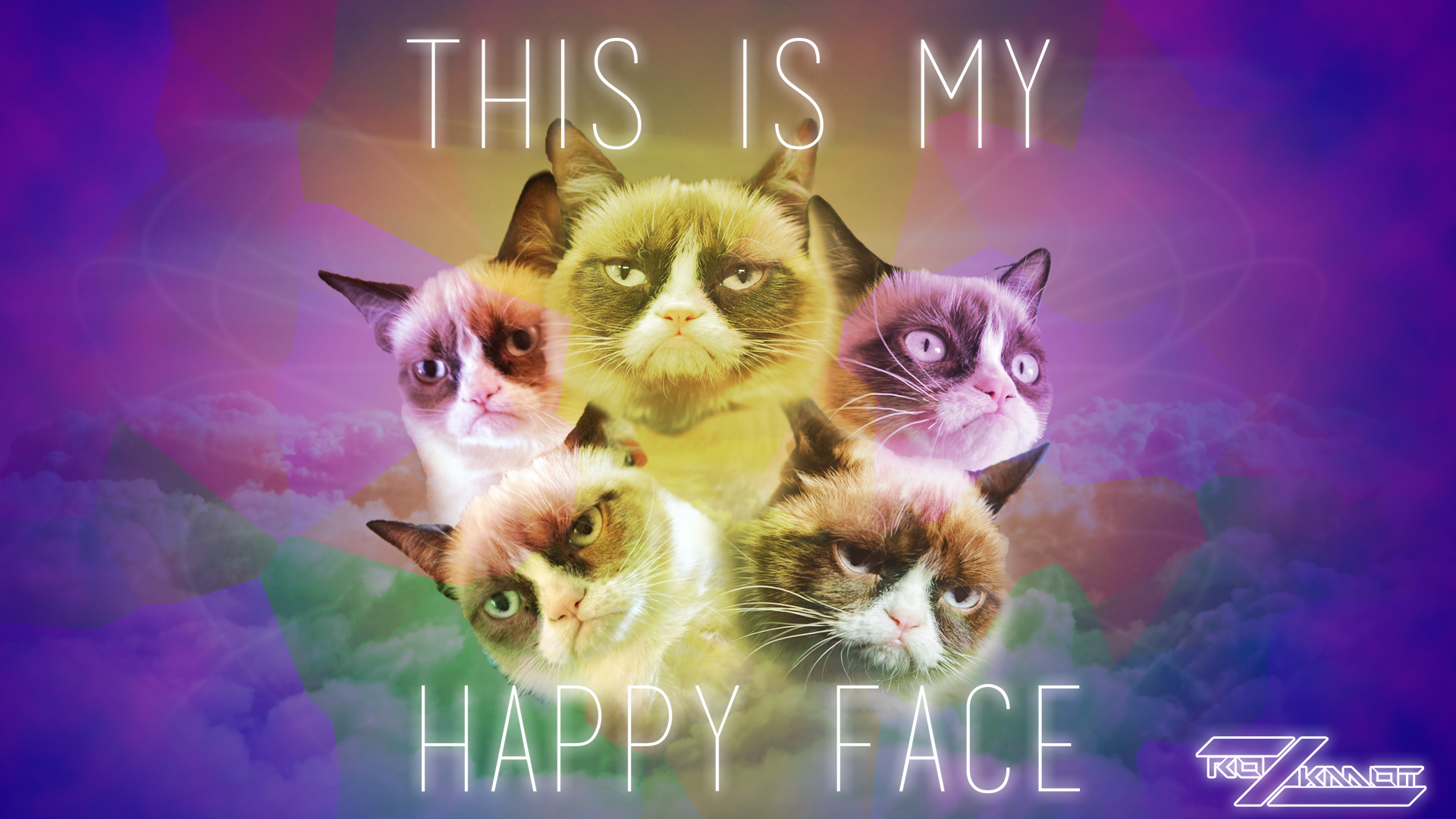 Detail Grumpy Cat Wallpaper Nomer 36