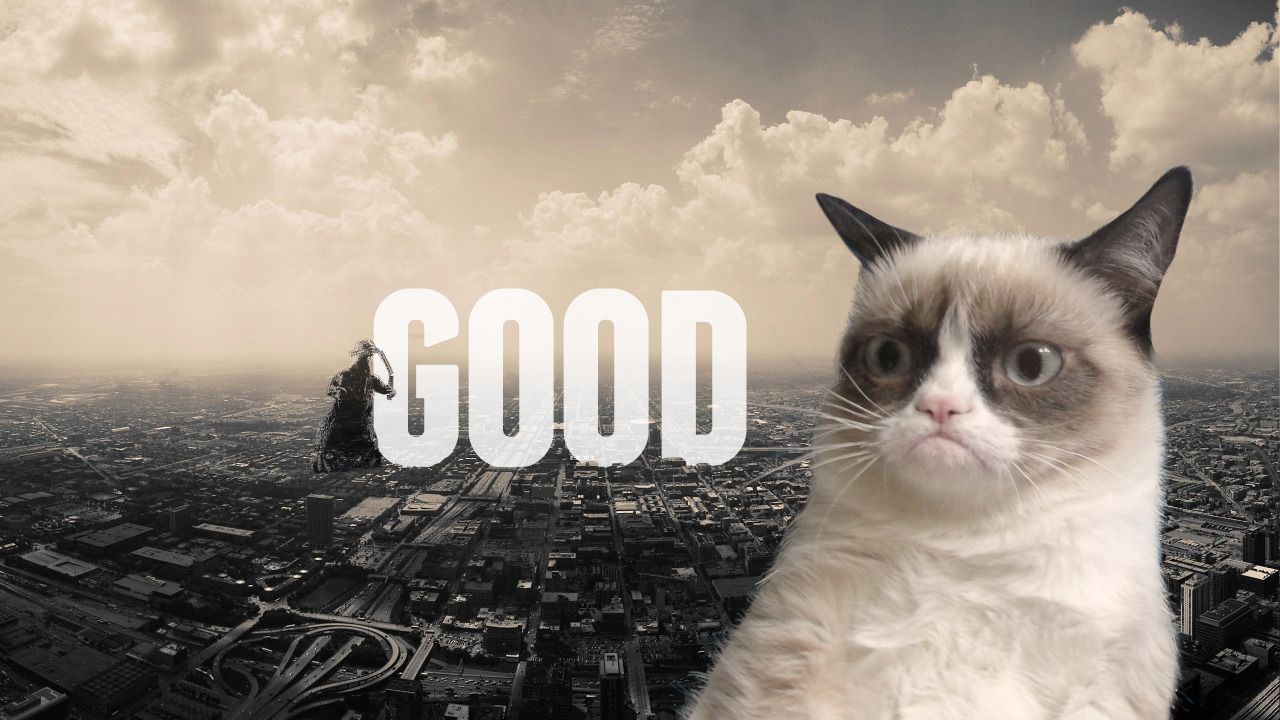 Detail Grumpy Cat Wallpaper Nomer 43