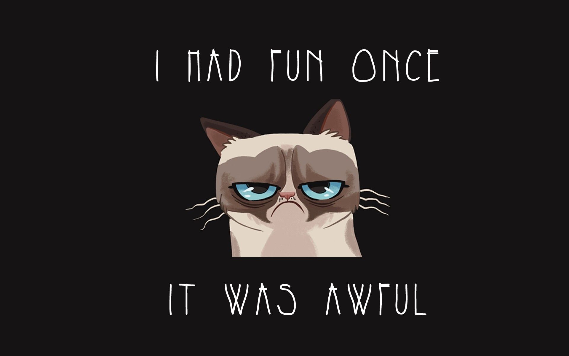 Detail Grumpy Cat Wallpaper Nomer 6