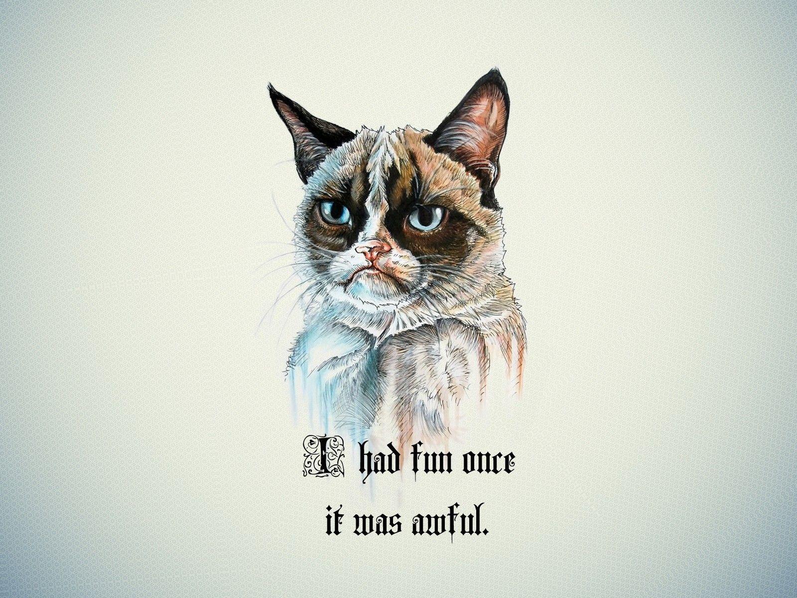 Detail Grumpy Cat Wallpaper Nomer 8