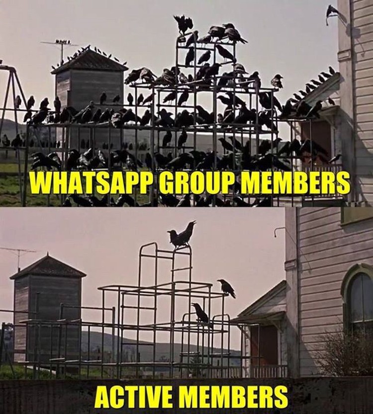 Detail Grup Wa Meme Nomer 34