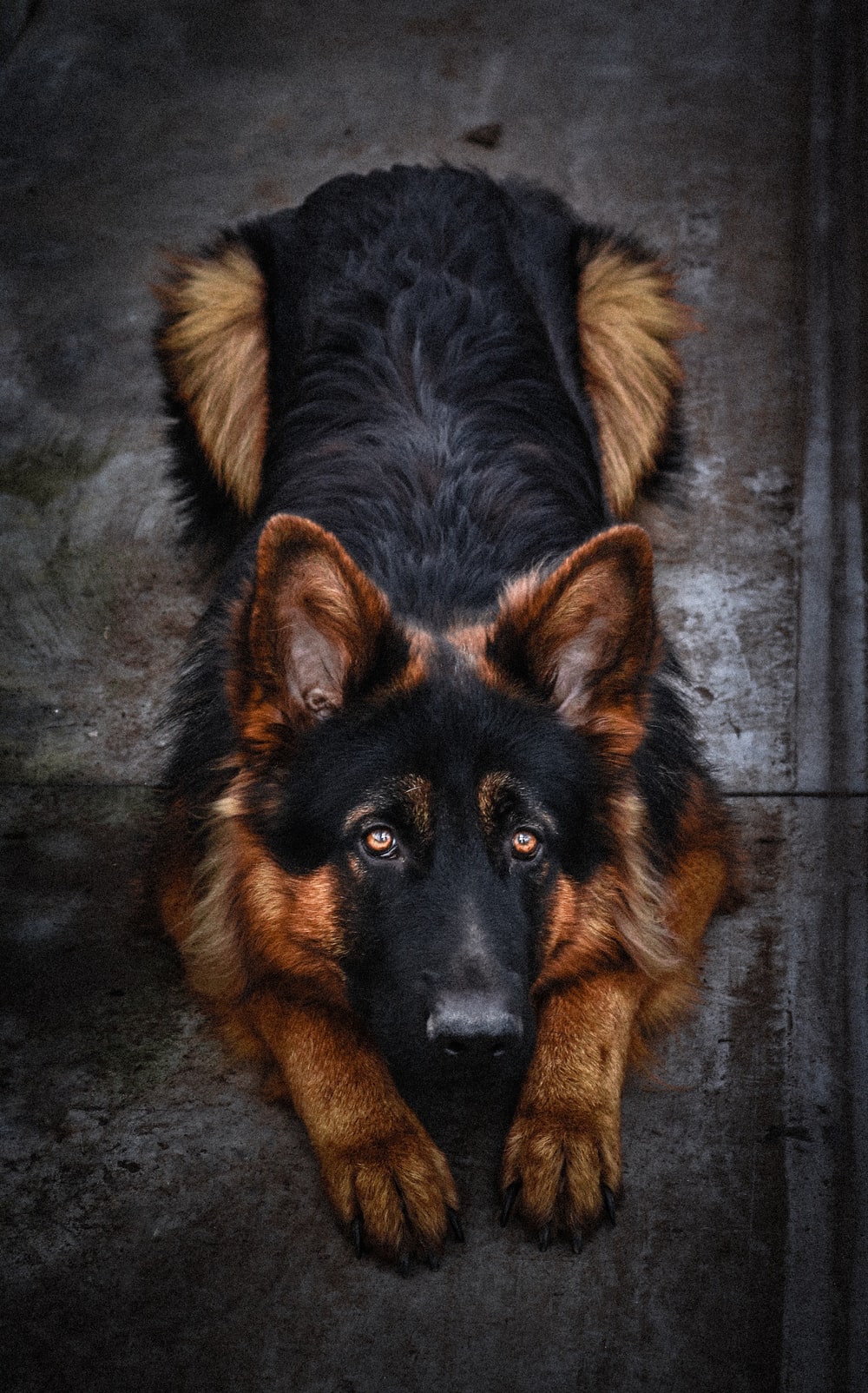 Detail Gsd Images Nomer 22