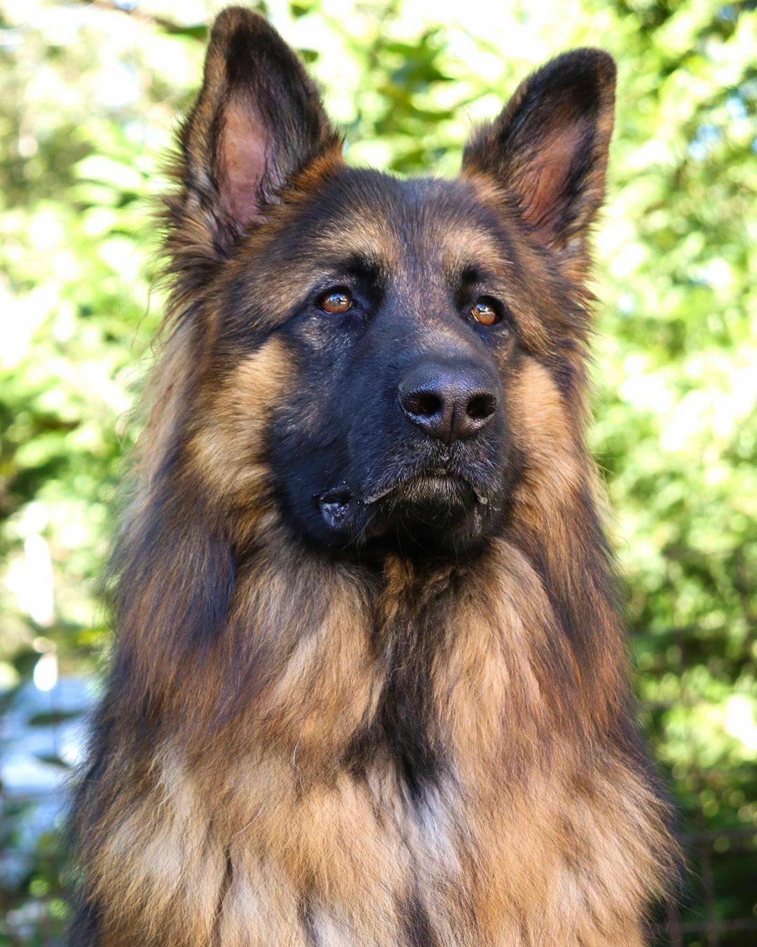 Detail Gsd Images Nomer 44