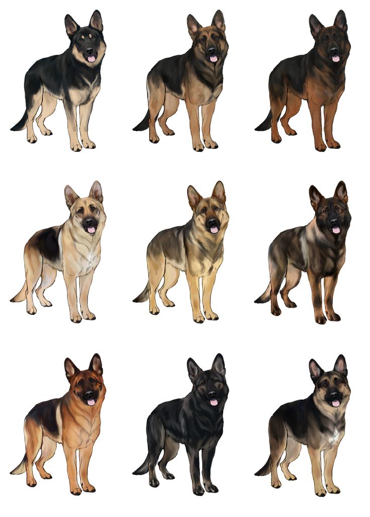 Detail Gsd Images Nomer 56
