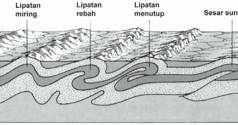 Detail Gsoal Gambar Hasil Eksogen Nomer 23