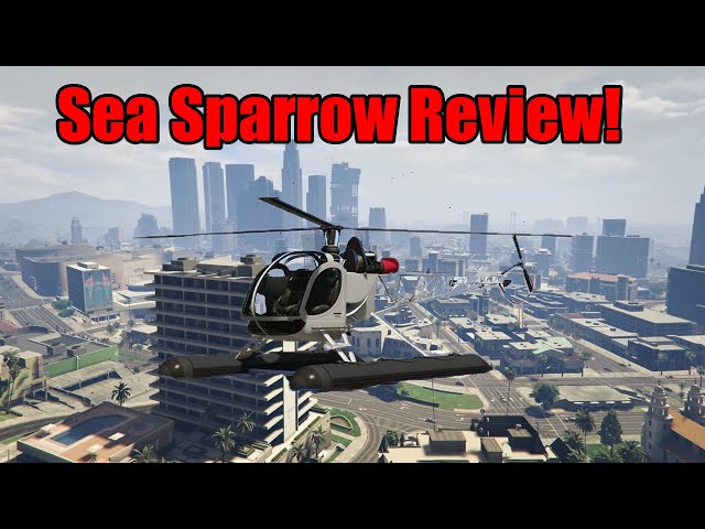 Detail Gta Online Sea Sparrow Nomer 47