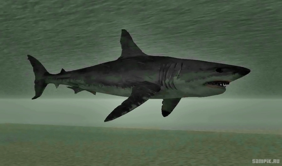 Detail Gta Sa Sharks Nomer 13