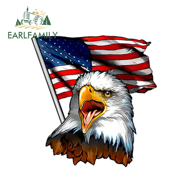 Detail Amerikanischer Adler Nomer 15