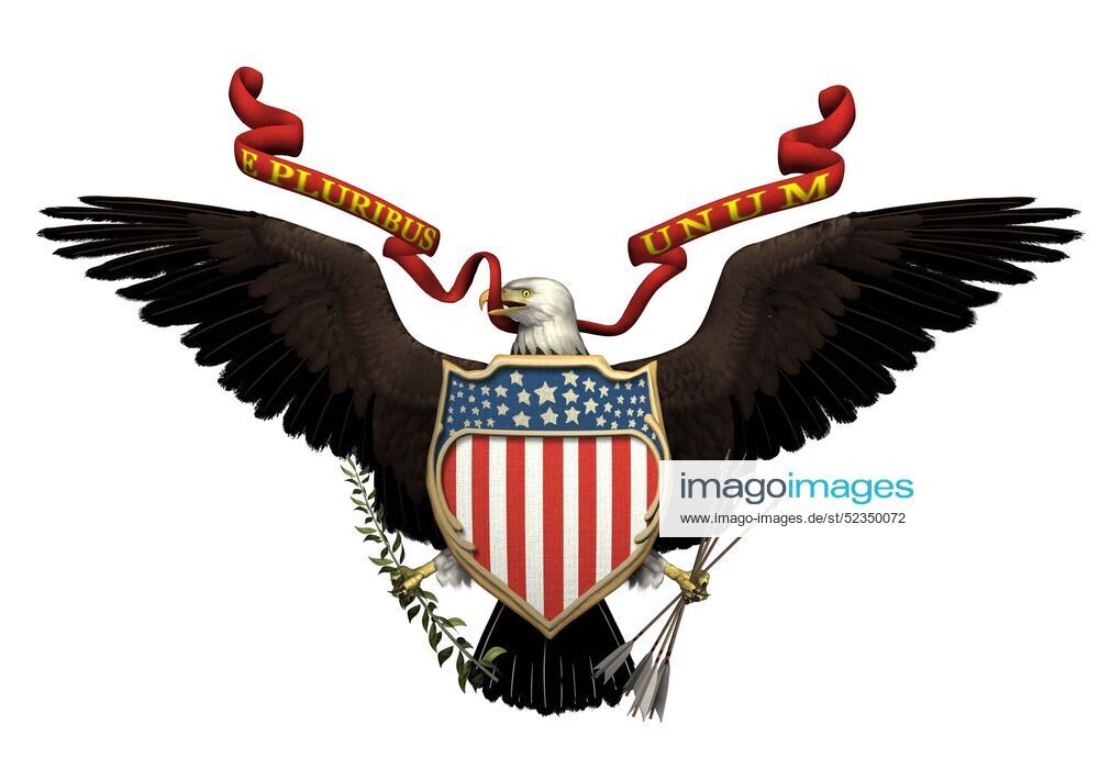 Detail Amerikanischer Adler Nomer 4