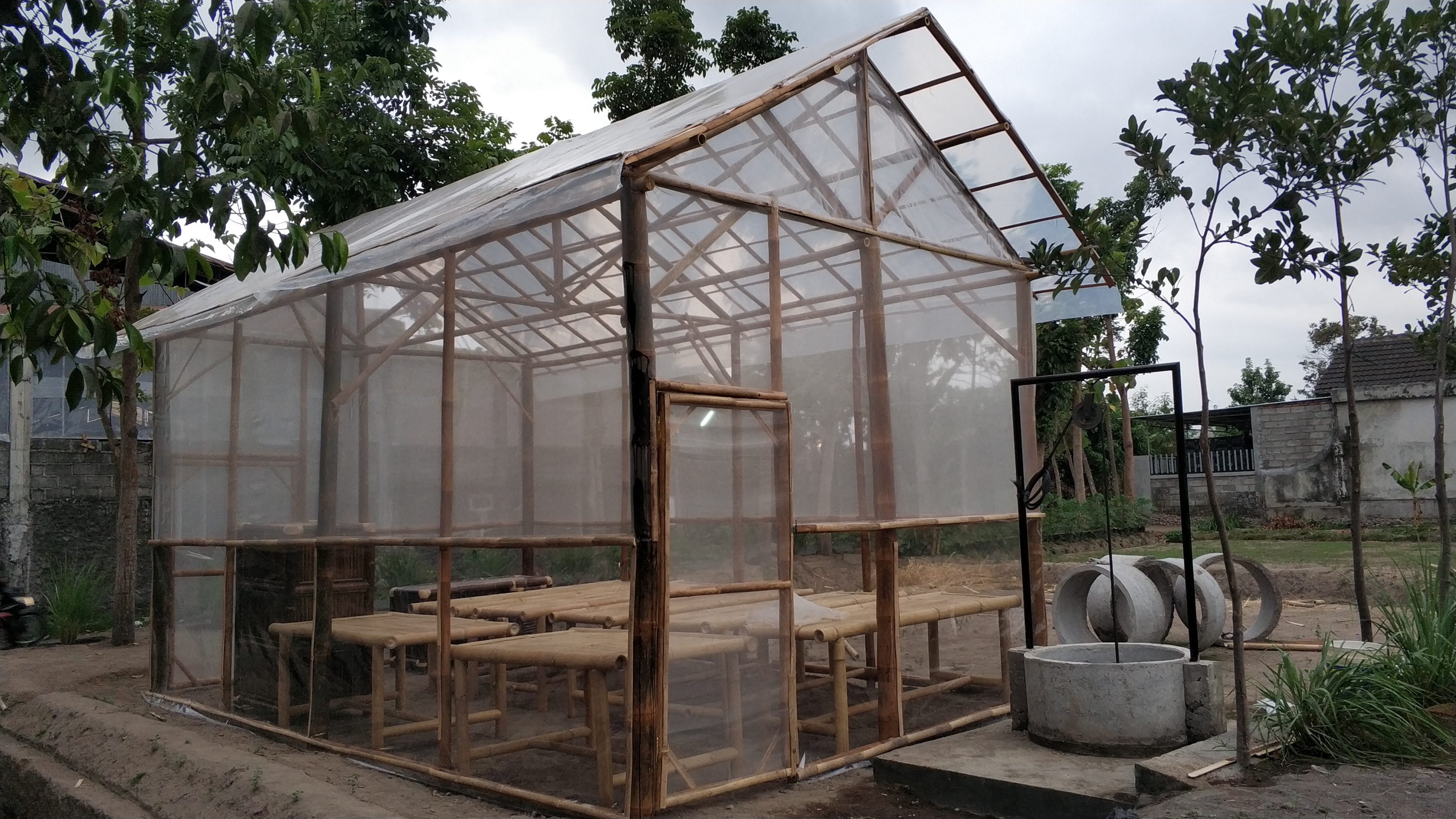 Greenhouse Армения роза