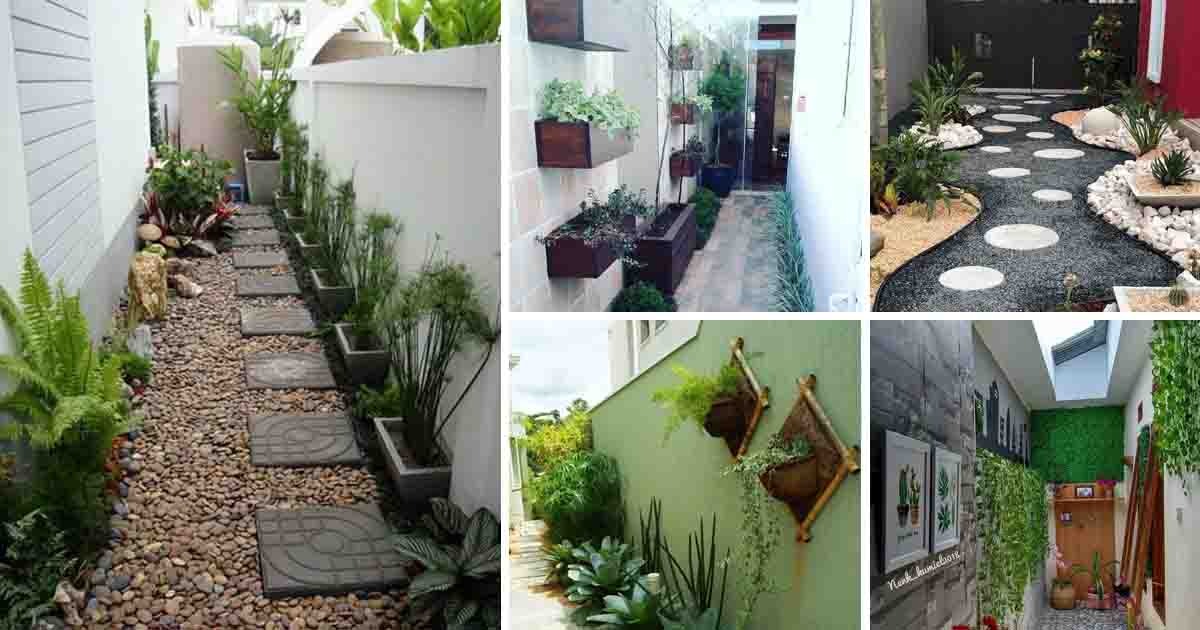 Detail Desain Halaman Rumah Sempit Nomer 14