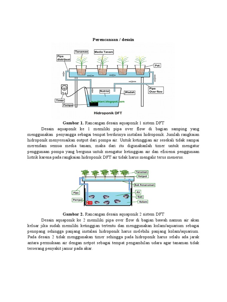 Detail Desain Hidroponik Dft Nomer 29