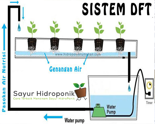 Detail Desain Hidroponik Dft Nomer 42