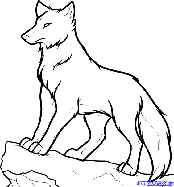Detail Dragoart Wolf Nomer 8