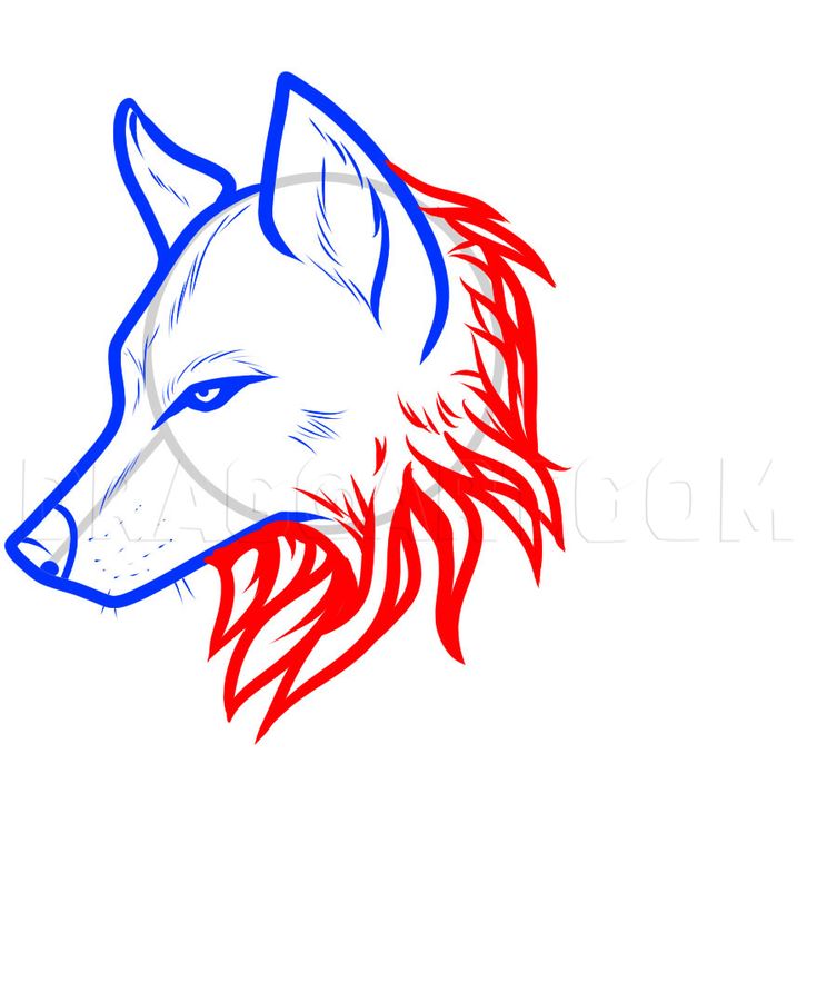 Detail Dragoart Wolf Nomer 3