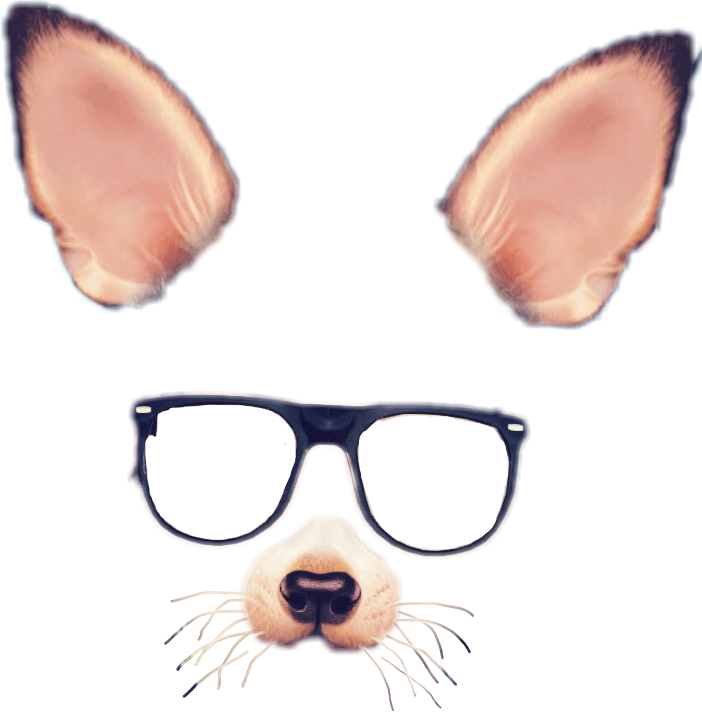 Detail Snapchat Mask Filter Download Nomer 27