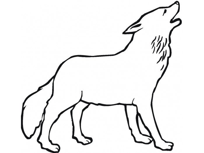 Detail Vorlage Wolf Nomer 2