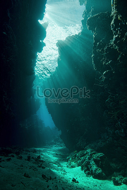 Detail Gua Bawah Laut Nomer 32