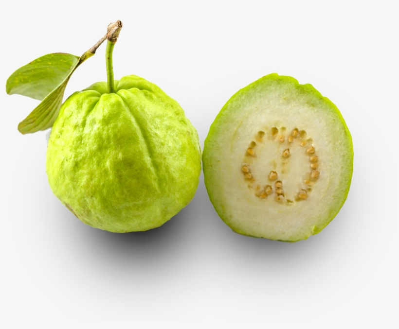 Detail Guava Clipart Nomer 50
