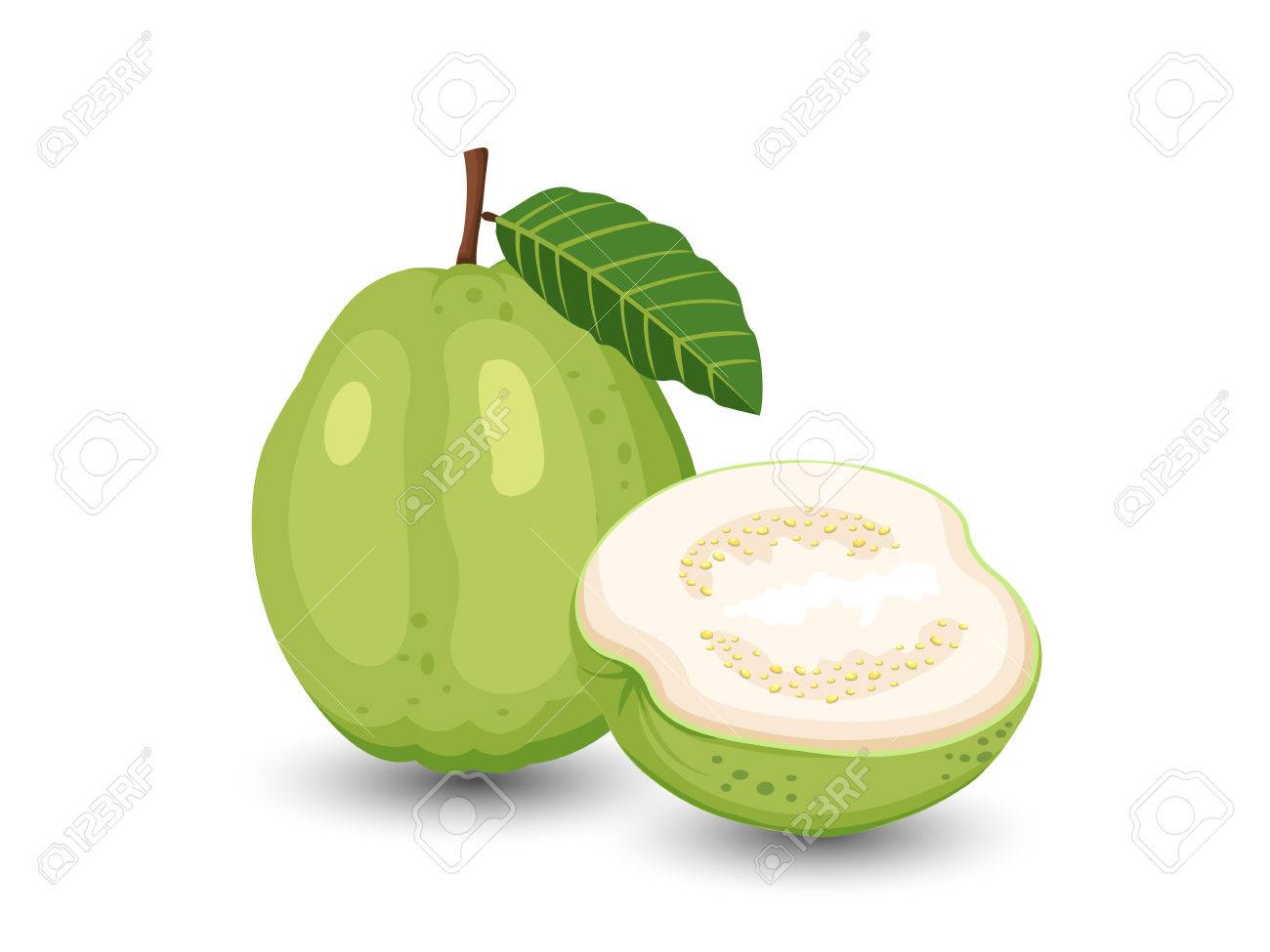 Detail Guava Clipart Nomer 9