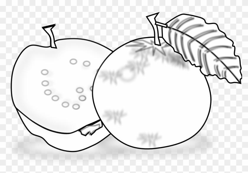 Detail Guava Clipart Black And White Nomer 6
