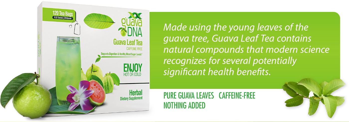 Detail Guava Dna Leaf Tea Nomer 12