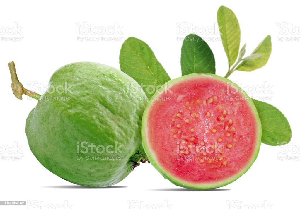 Detail Guava Download Nomer 22