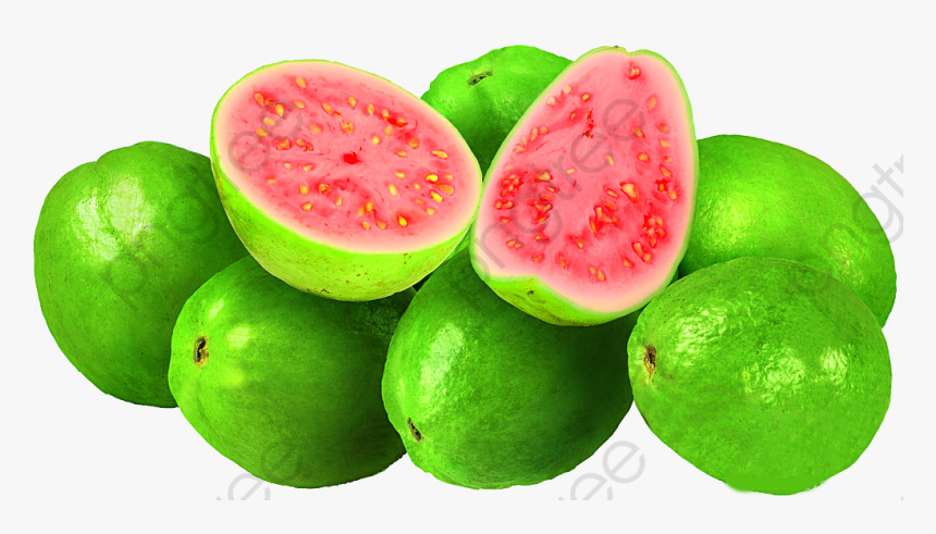 Detail Guava Download Nomer 55